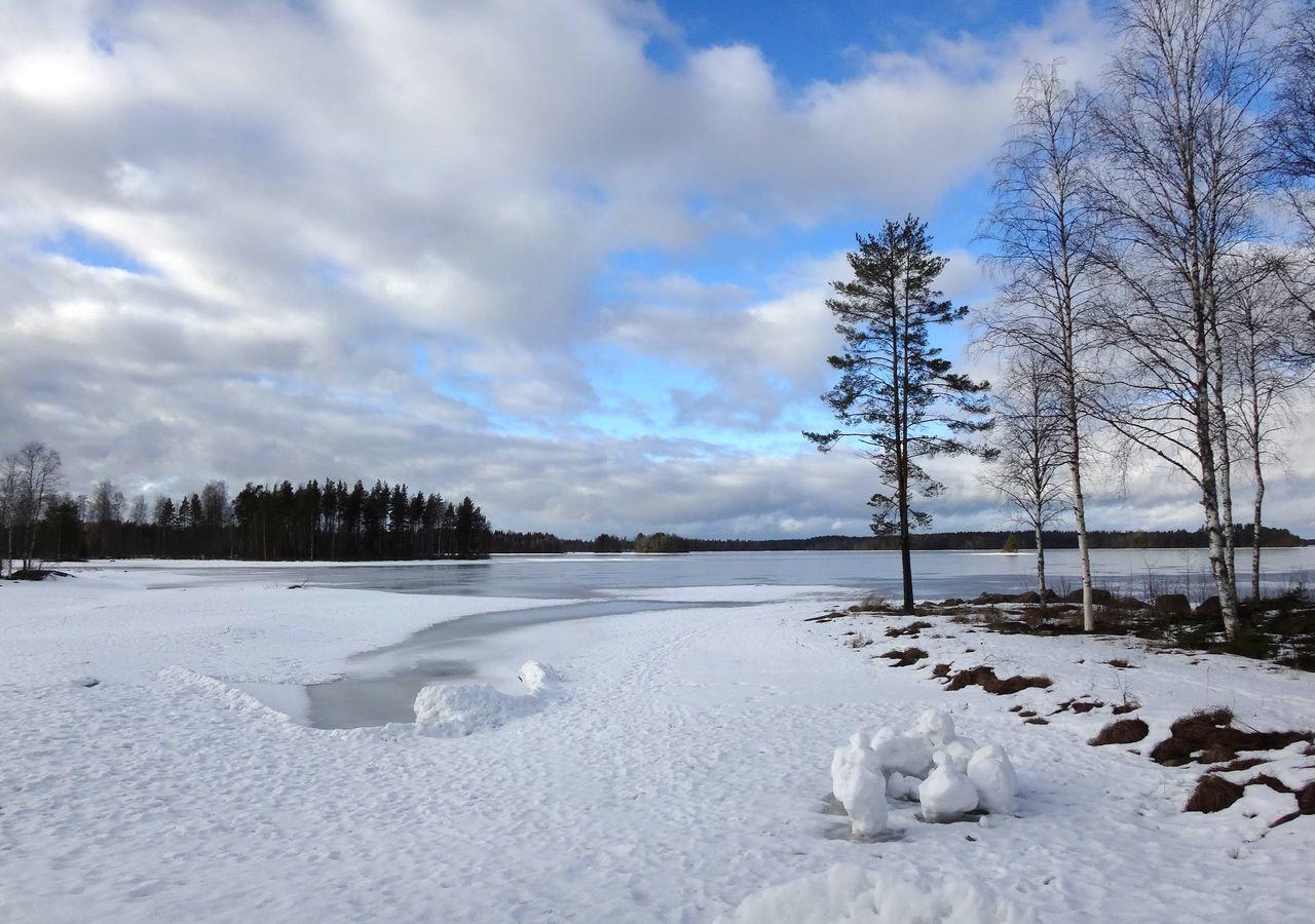 Tiiringolf Cottages Nilsiä Exterior photo